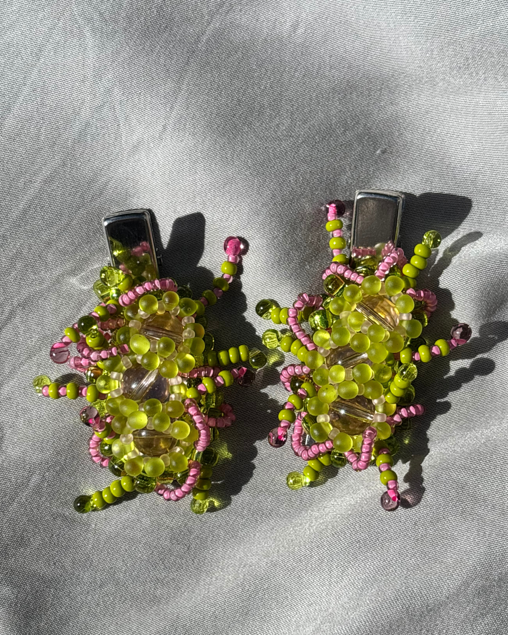 Algae