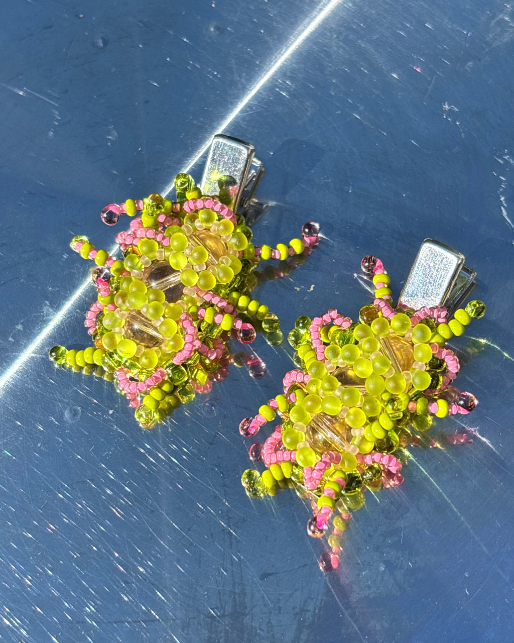 Algae